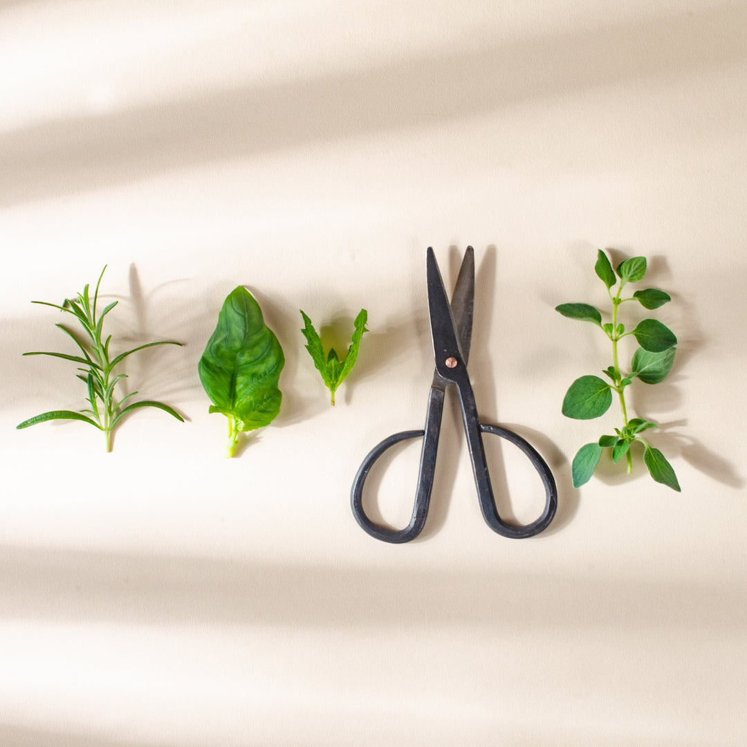 Small Gardening Scissors - Set of 2