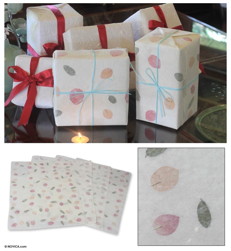 Bougainvillea Garden