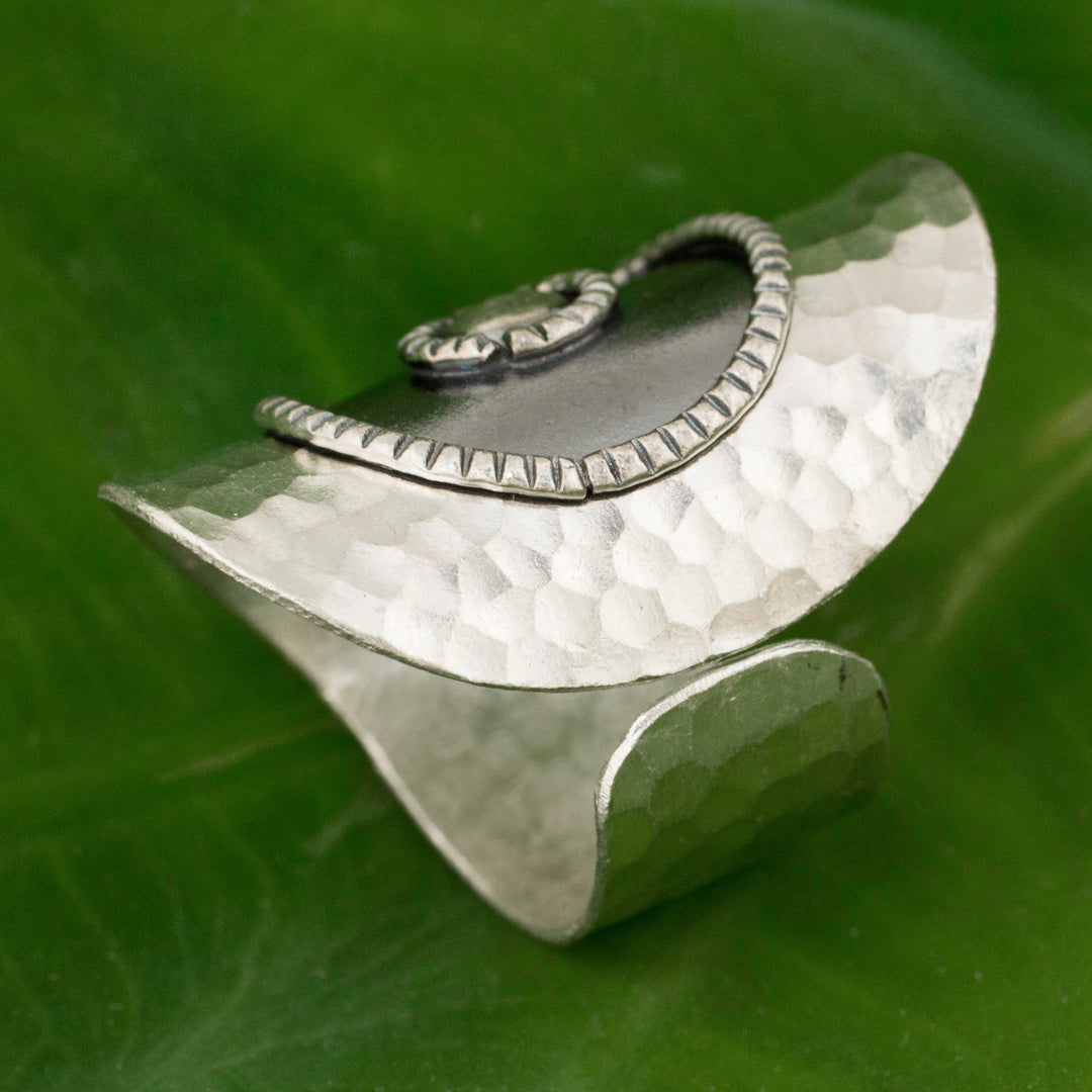 Silver Sun