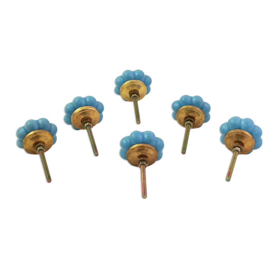 Ceramic Cabinet Knobs Floral Sky Blue (Set of 6) from India - Floral Beauties in Sky Blue