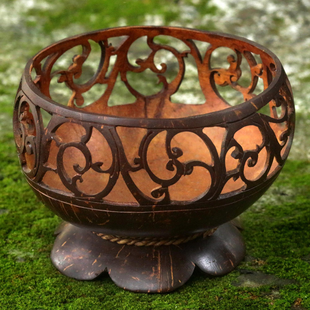 Spiral Vine