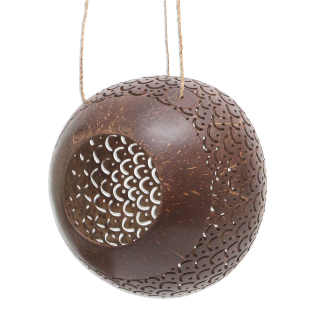 Coconut Shell Hanging Birdhouse from Indonesia - Sea Scales
