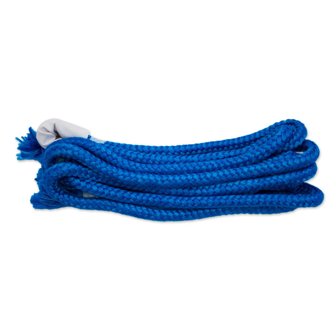 Hand Woven Fuchsia and Royal Blue Hammock from Mexico - Iridescent Tropics