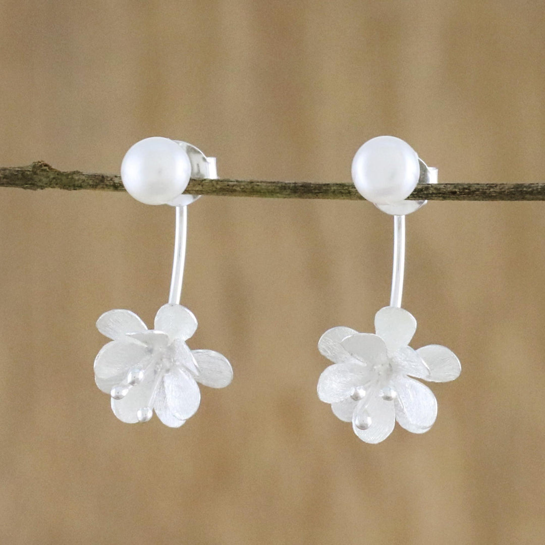Night Blossoms