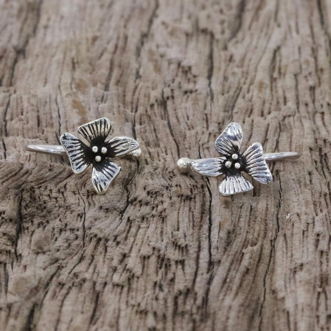 Petite Orchids