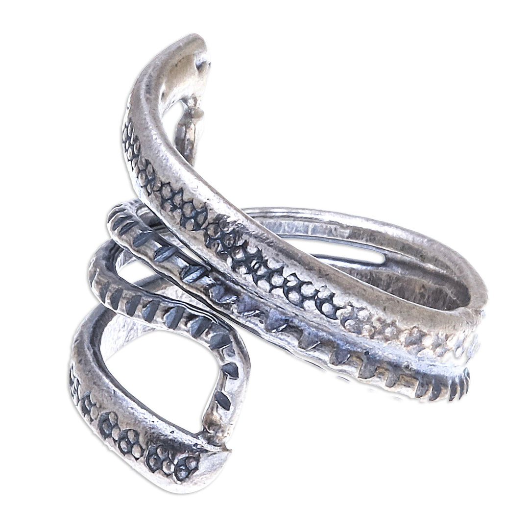 Oxidized Snake Path