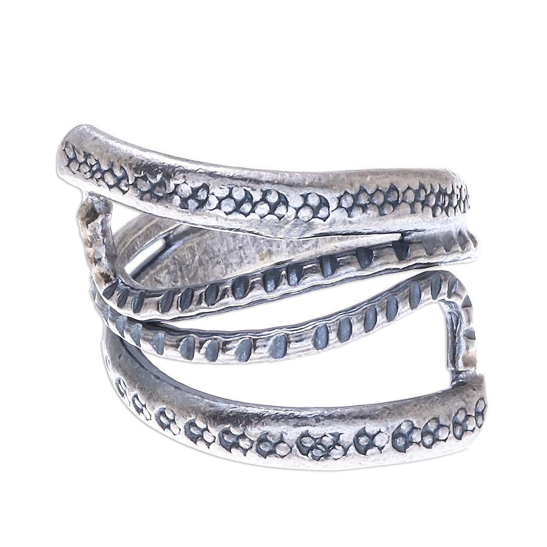 Oxidized Snake Path
