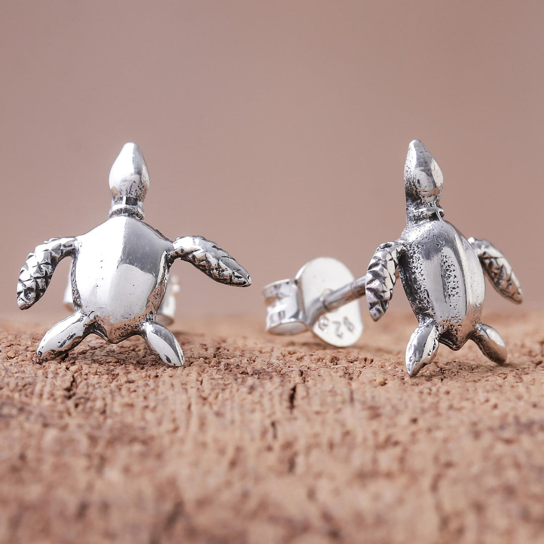 Sterling Silver Sea Turtle Stud Earrings from Thailand - Sea Turtle Bliss