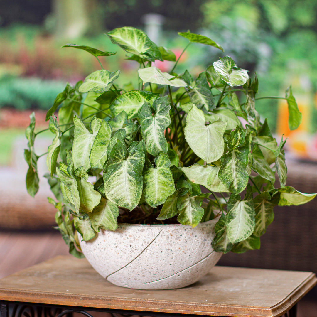 Round Planter