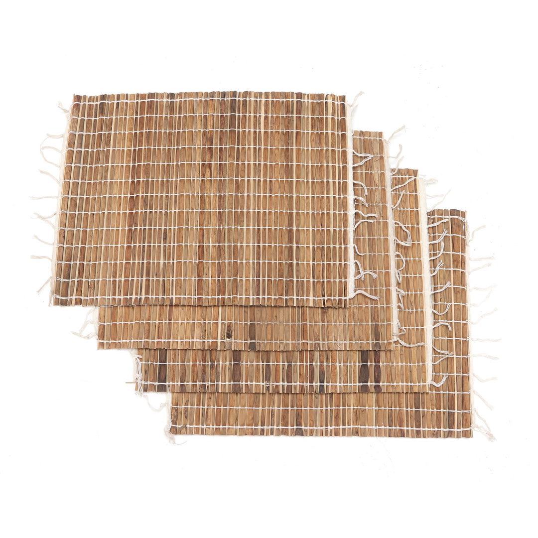 Set of 4 Handwoven Natural Fiber Placemats - Tropical Traditions