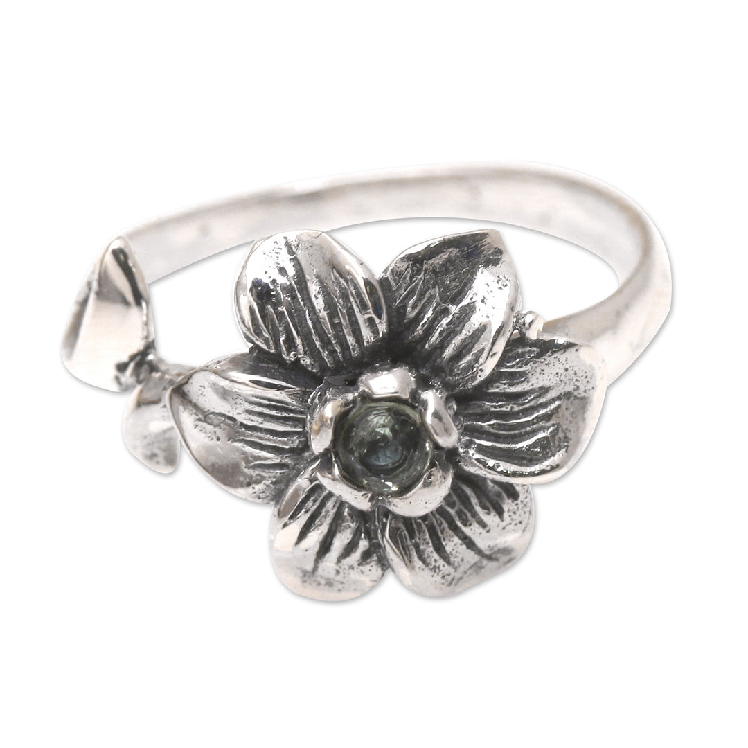 Melancholy Flower