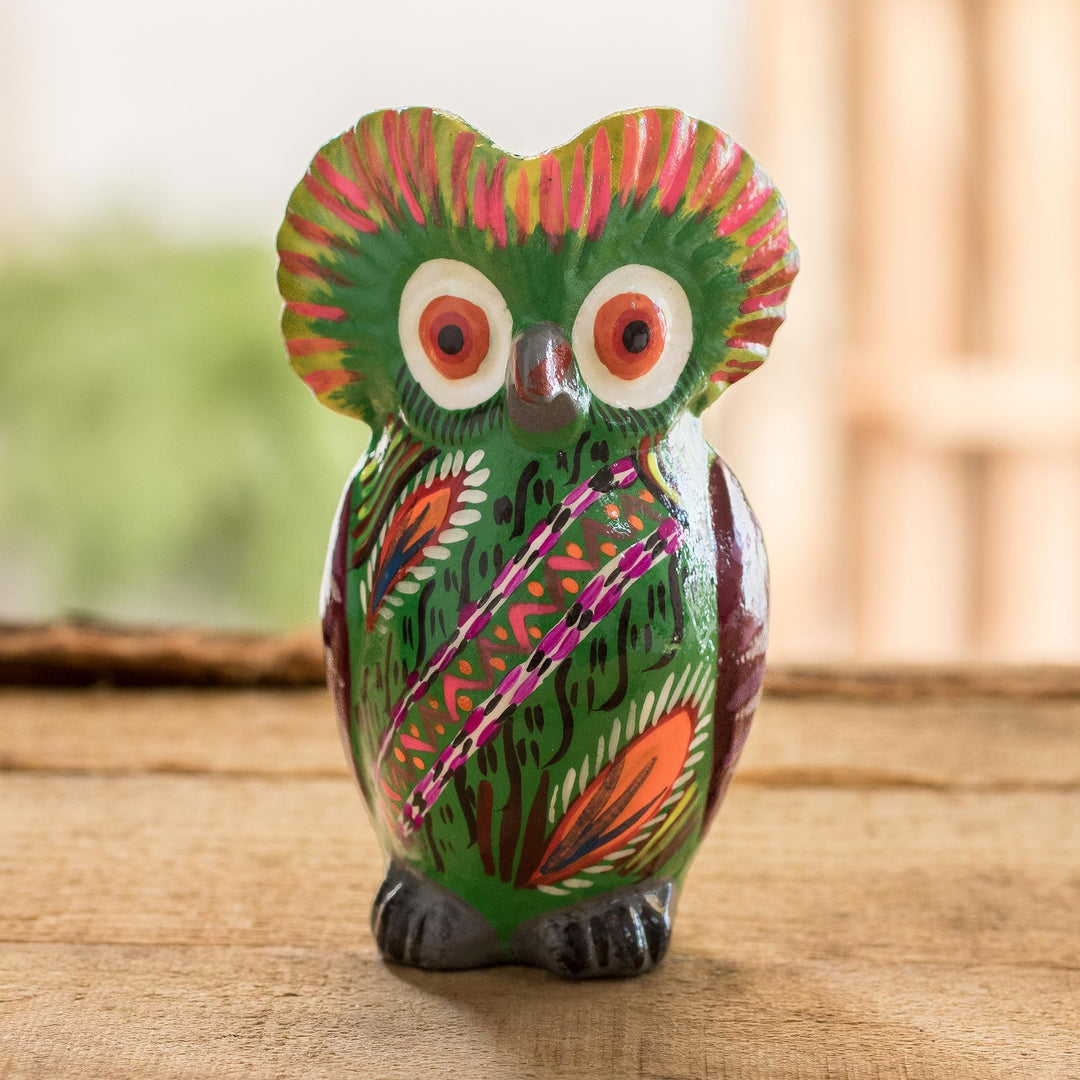Rainforest Owl