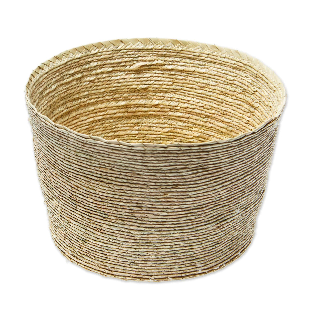 Handwoven Basket from Mexico - Palm Paradise