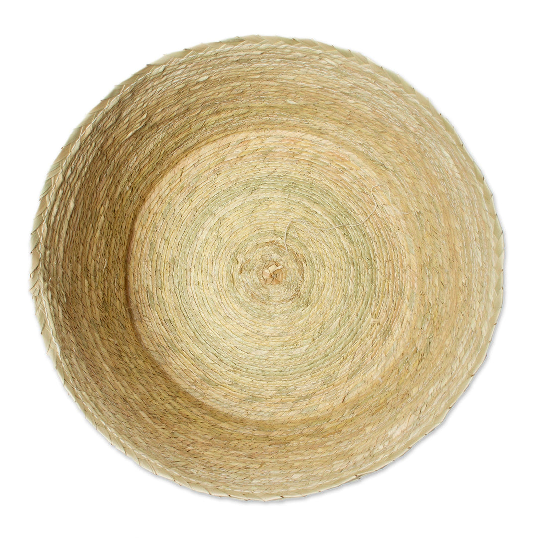 Handwoven Basket from Mexico - Palm Paradise