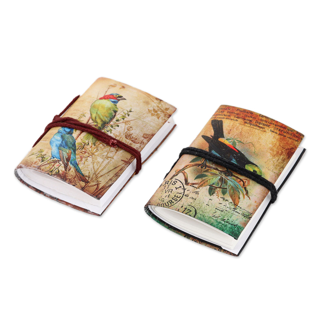 Set of 2 Handmade Indian Paper Mini Journals with Birds - Spring Songbirds