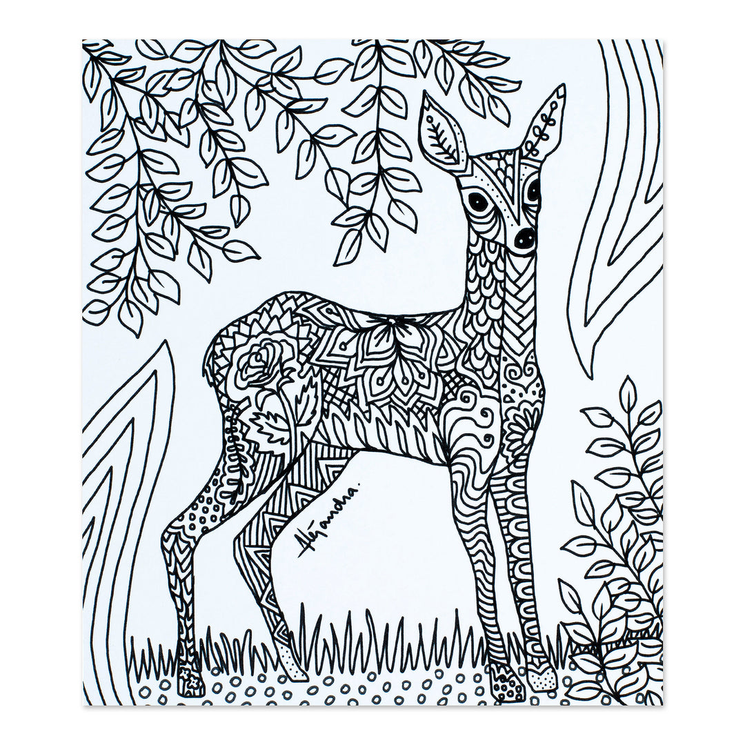 Mexican Wildlife Themed Coloring Postcards (Pair) - Nature's Emotion