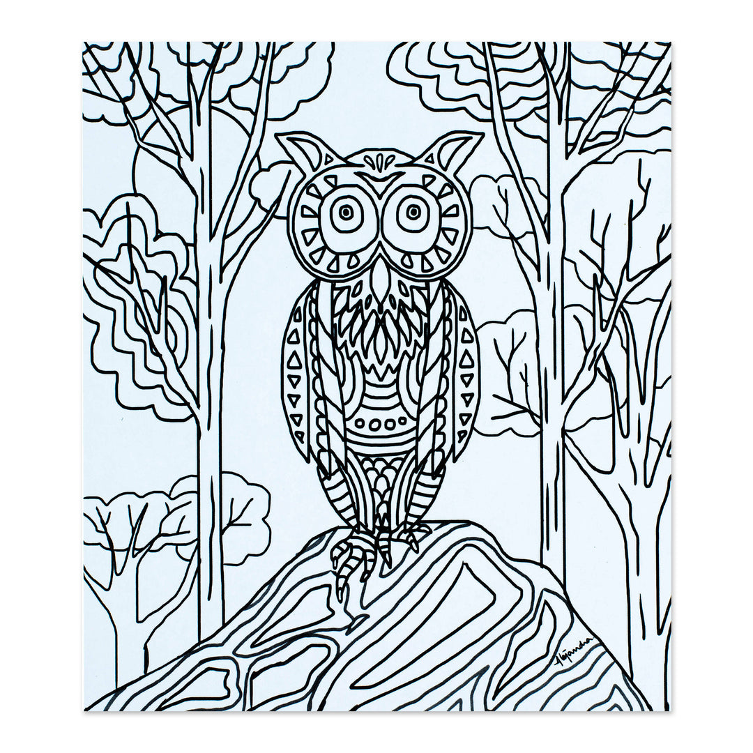 Mexican Bird Themed Coloring Postcards (Pair) - Bird Enchantment