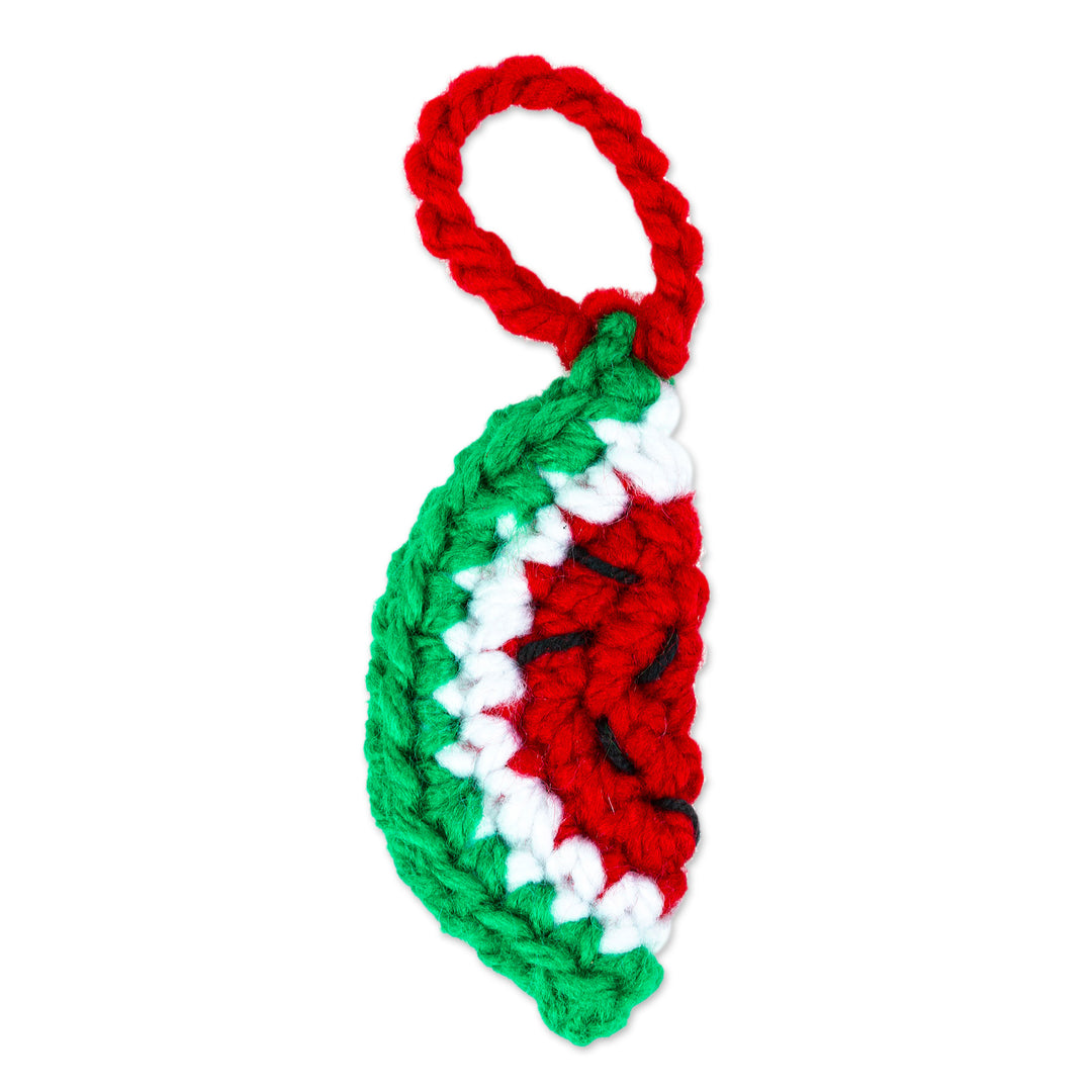 Watermelon Crocheted Charm for Handbags Handmade in Mexico - Cute Watermelon