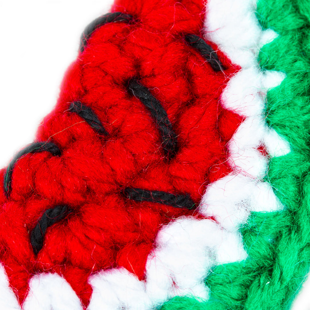 Watermelon Crocheted Charm for Handbags Handmade in Mexico - Cute Watermelon