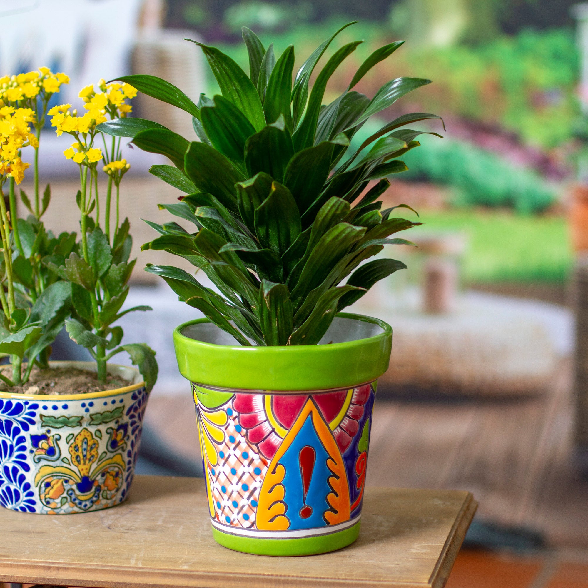 Talavera Kiwi Ceramic Flower Pot with Hacienda-Themed Motifs