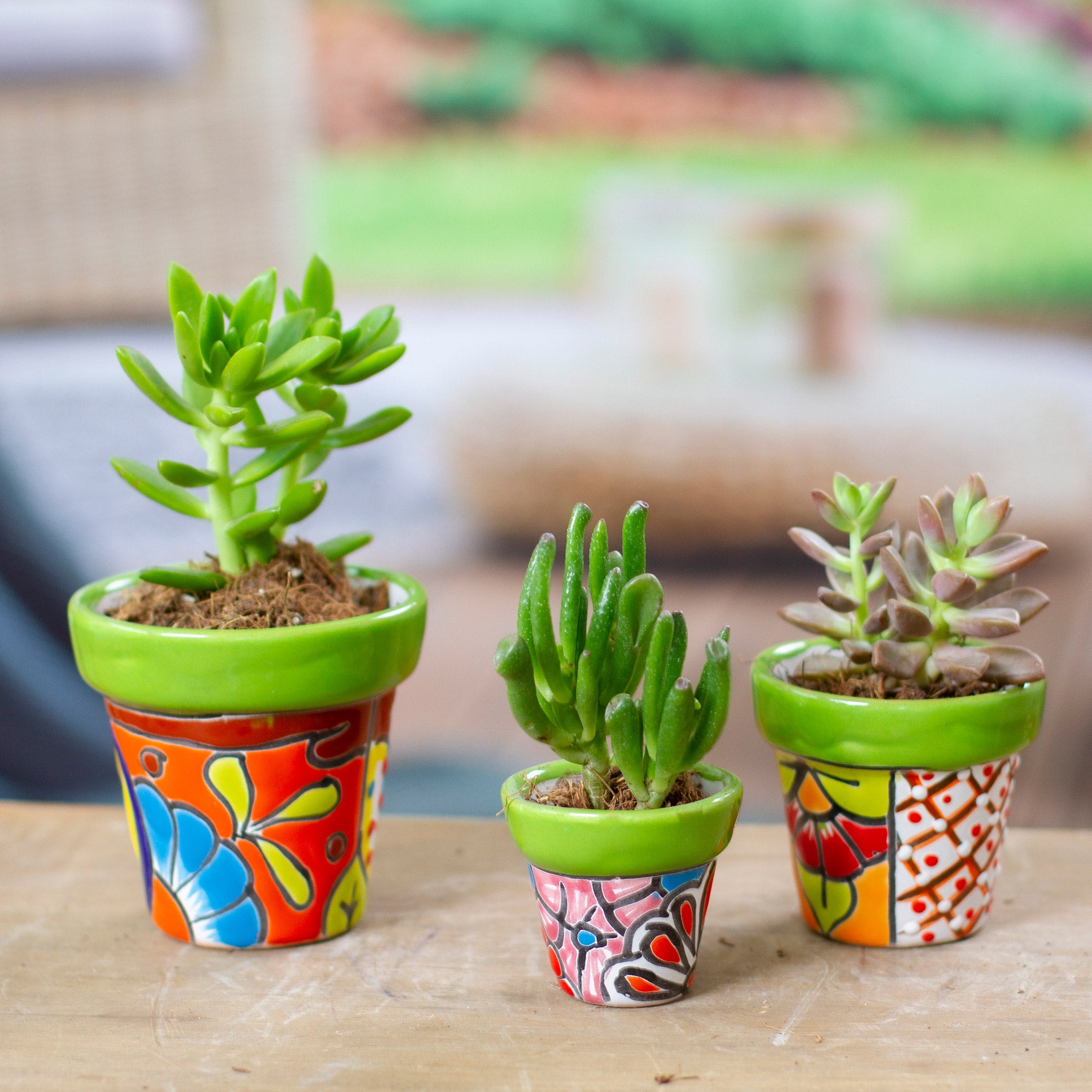 decorative clay pots for indoor plants Set of 3 Hand-Painted Talavera Ceramic Flower Pots in Kiwi