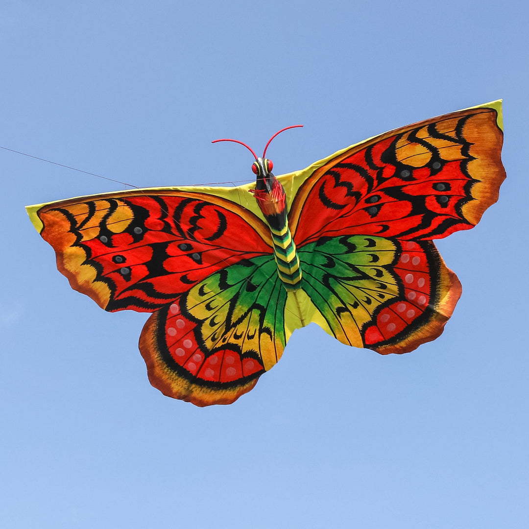 Hand-Painted Nylon and Bamboo Vibrant Butterfly Kite - Autumnal Butterfly