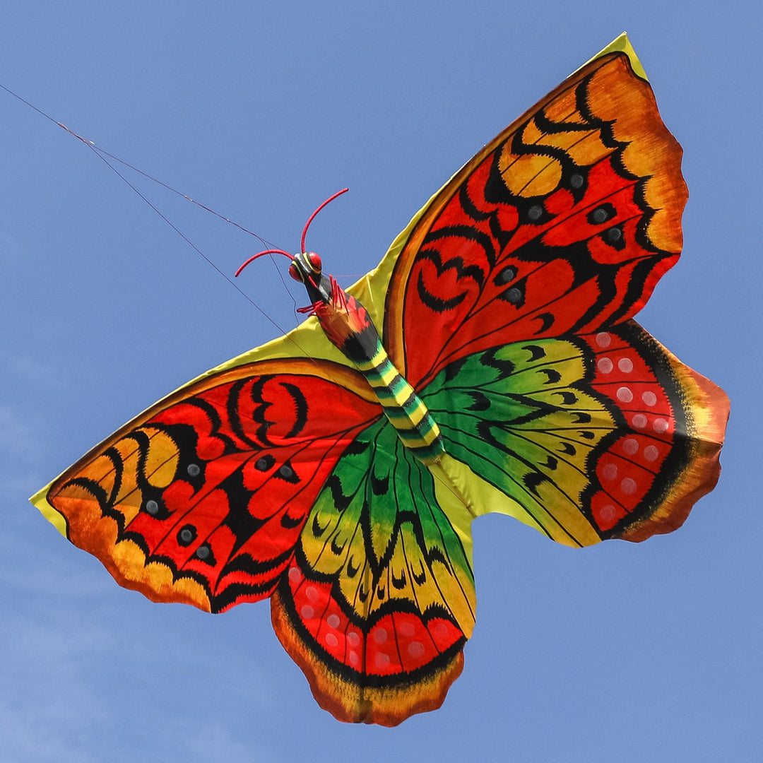 Hand-Painted Nylon and Bamboo Vibrant Butterfly Kite - Autumnal Butterfly