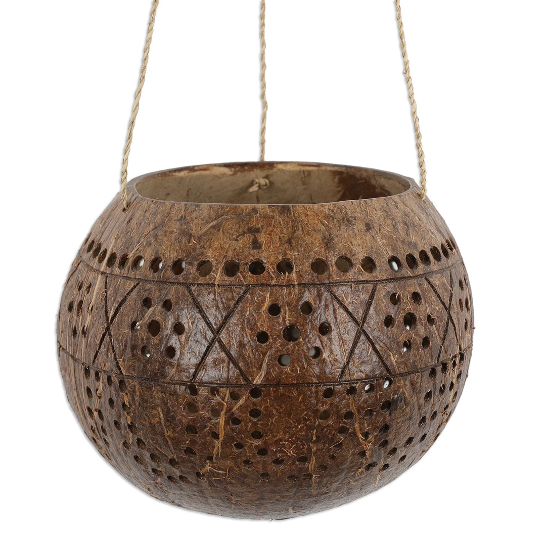 Coconut Shell Hanging Planter Crafted by Hand in Bali - Gardening