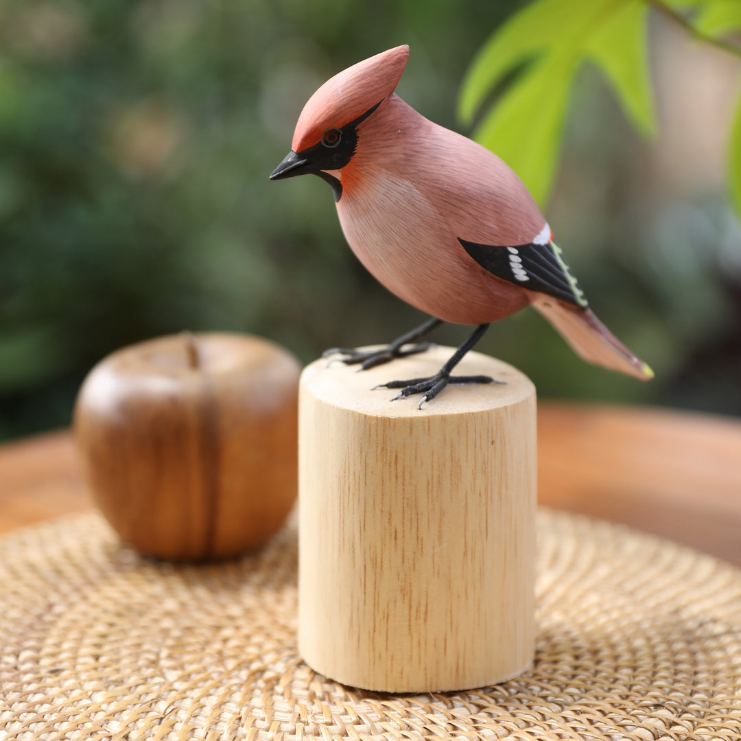 Adorable Waxwing