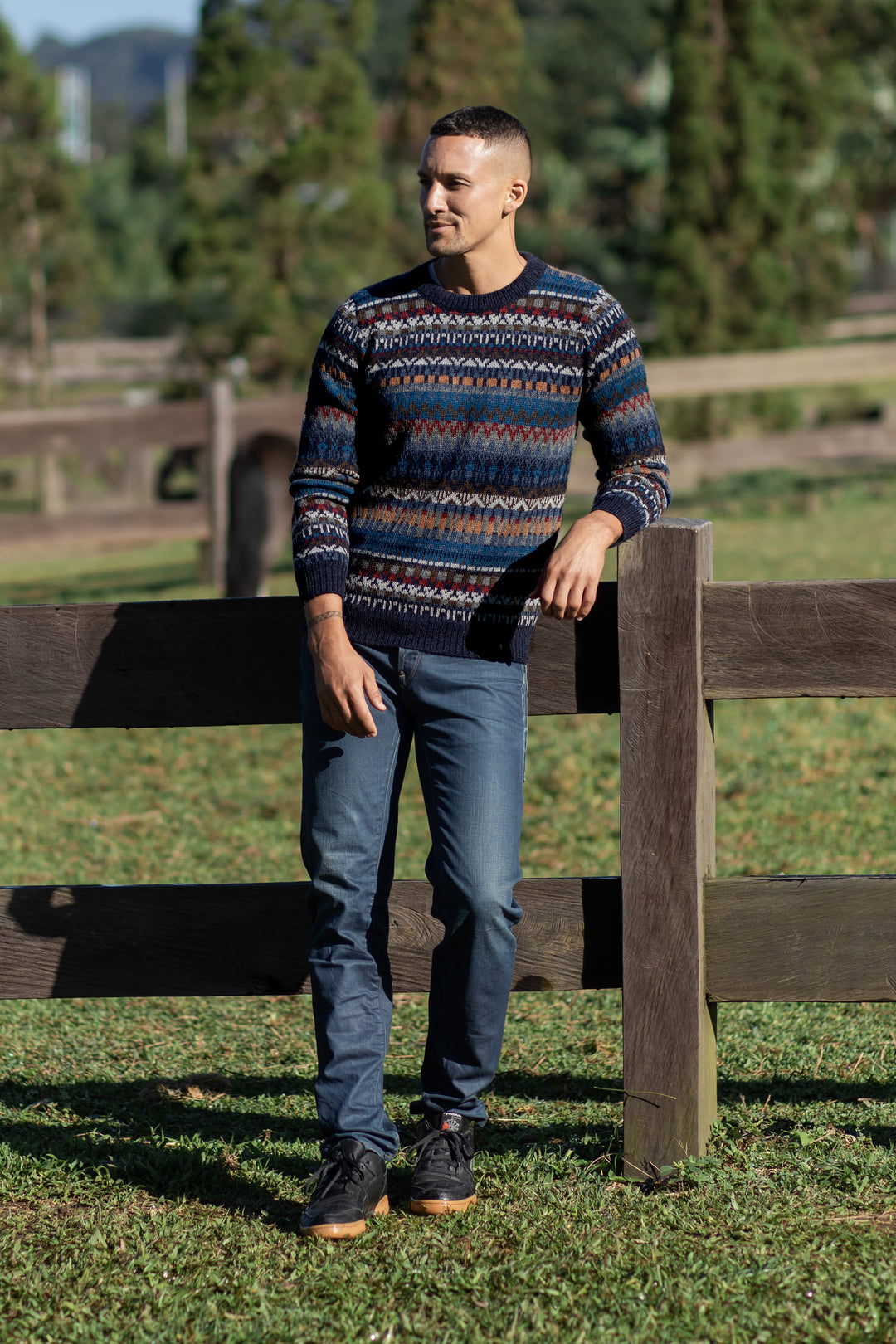 Andean Lines