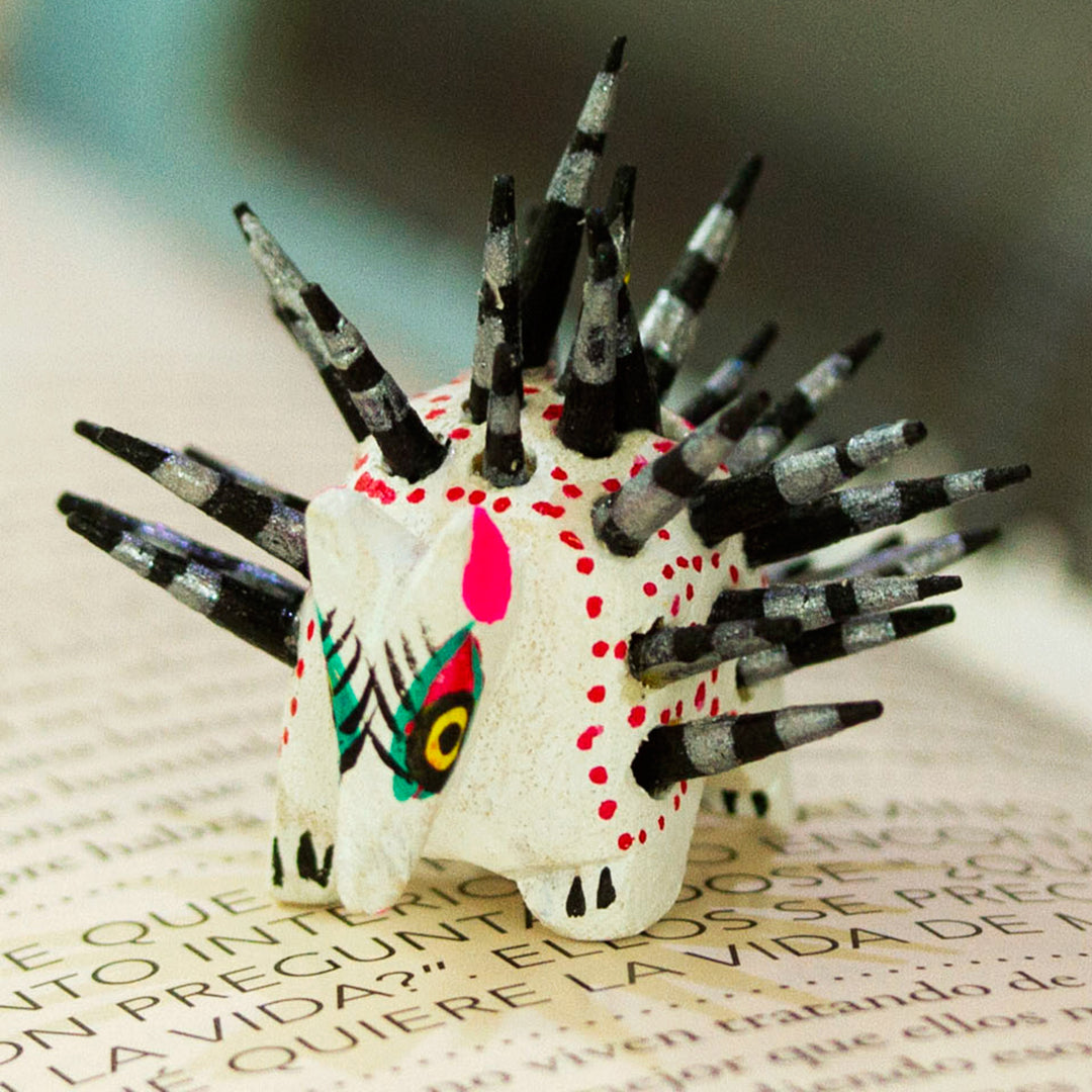 Cute Porcupine in White