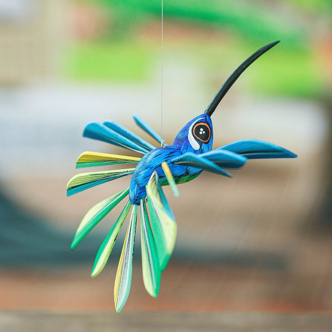 Cheerful Hummingbird