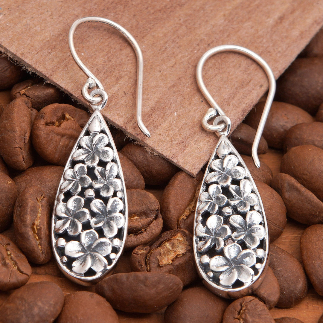 Blossoming Frangipani