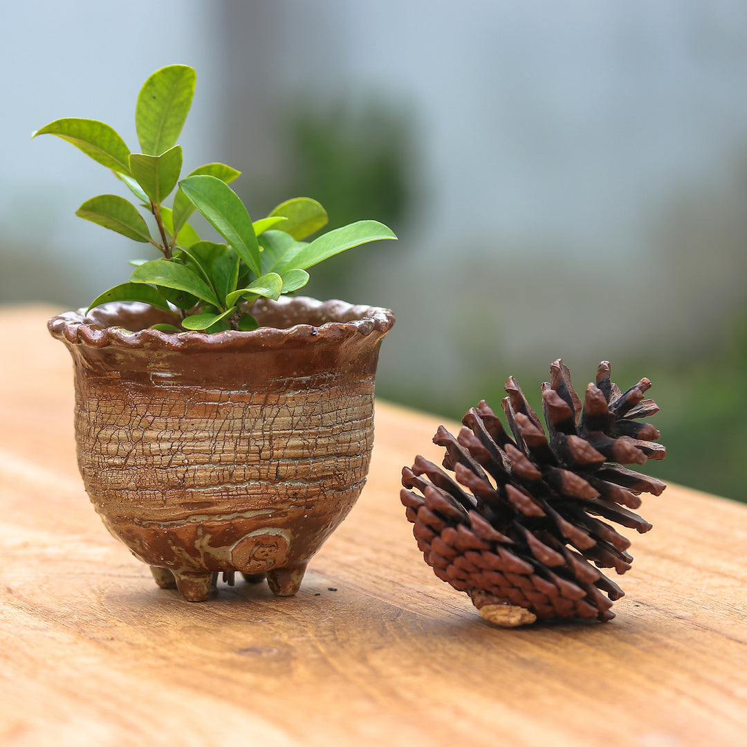 Handcrafted Crackled-Finish Earthy Brown Ceramic Flower Pot - Earth Steps