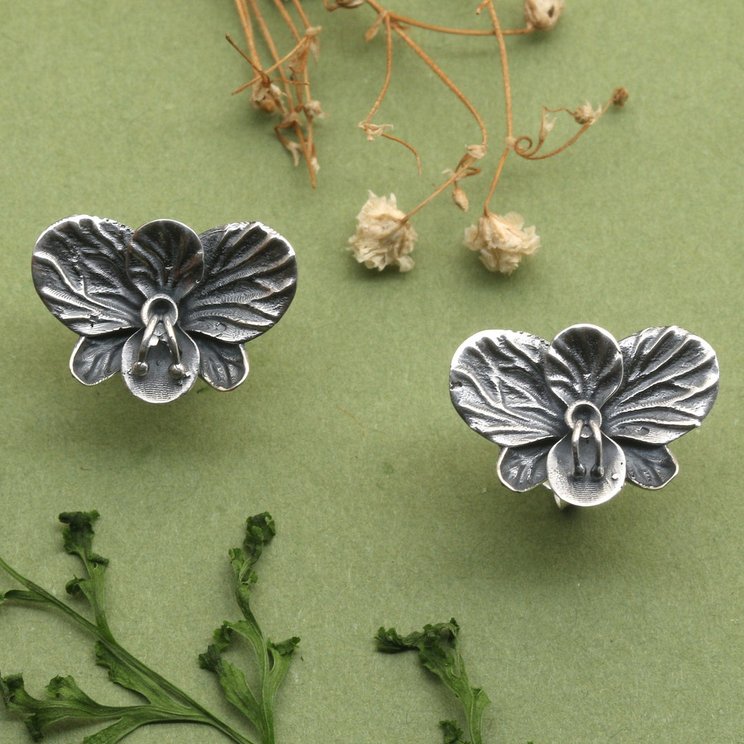 Ancient Orchids