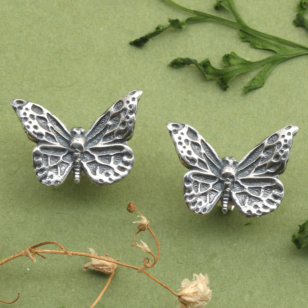 Butterfly in Forest