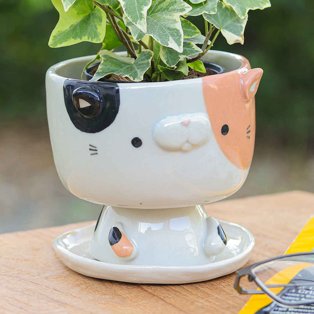 Handcrafted Cat-Shaped Ceramic Mini Flower Pot with Saucer - Sweet Kitty
