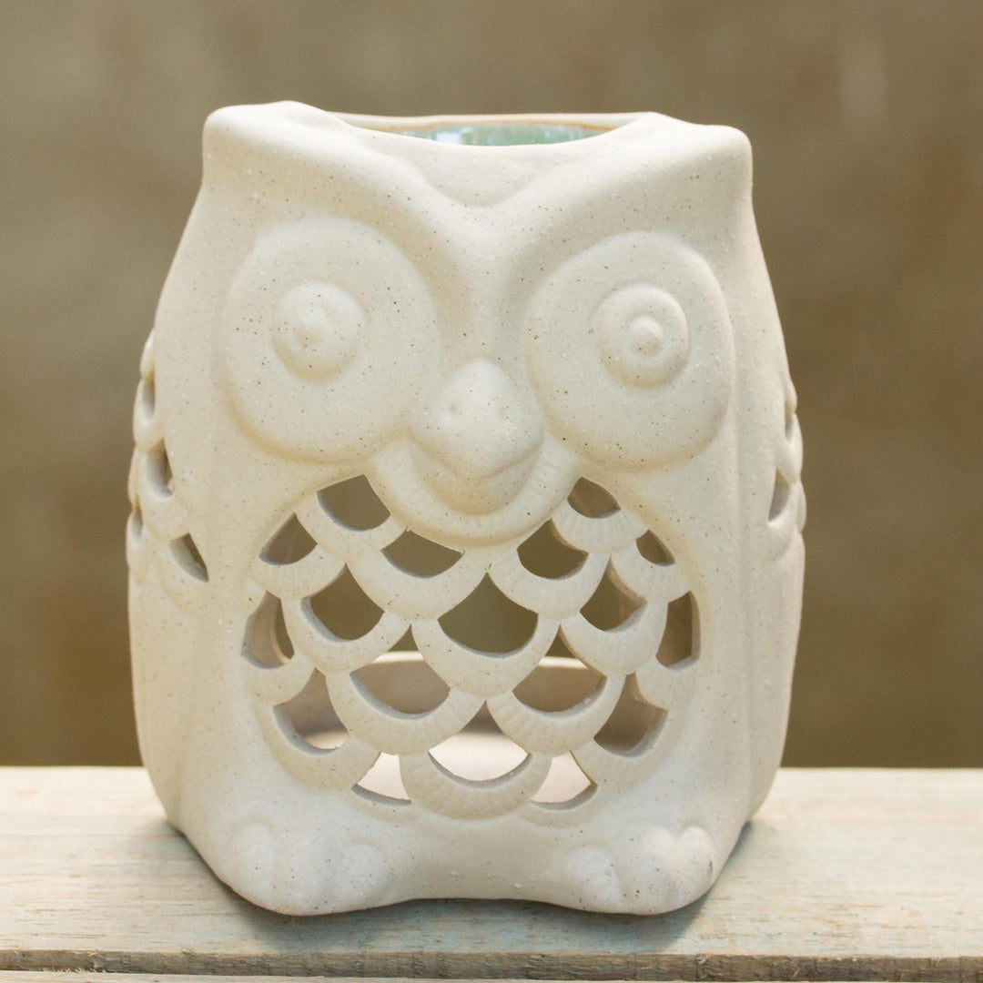 Cozy Owl