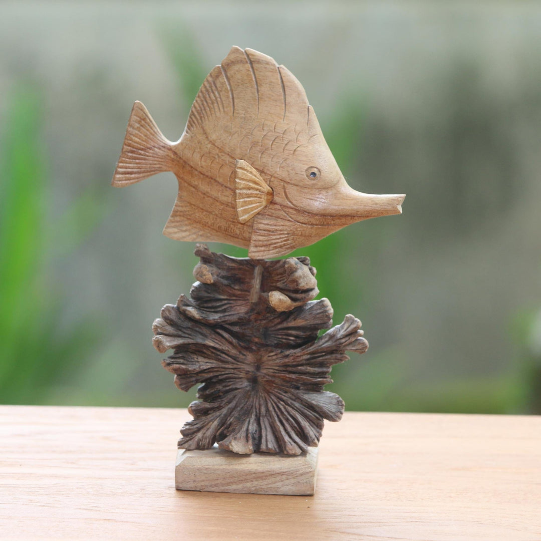 Tang Fish