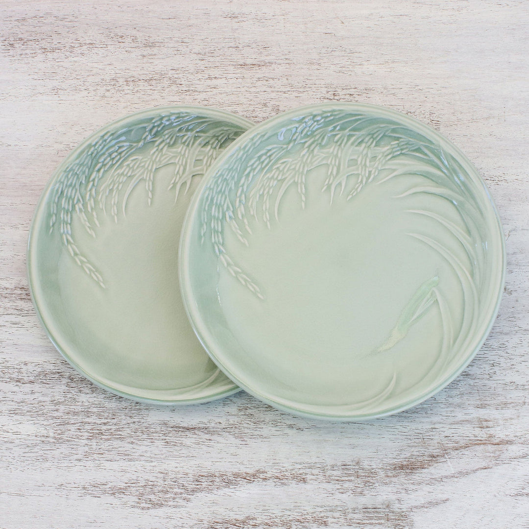 Celadon Ceramic Plates from Thailand (Pair) - Thai Rice