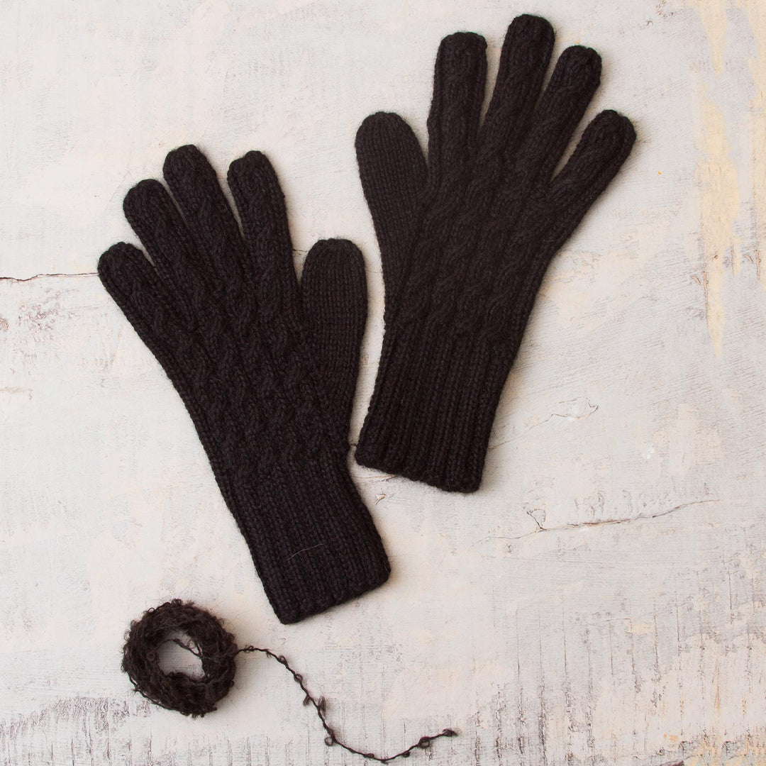 Winter Delight in Black
