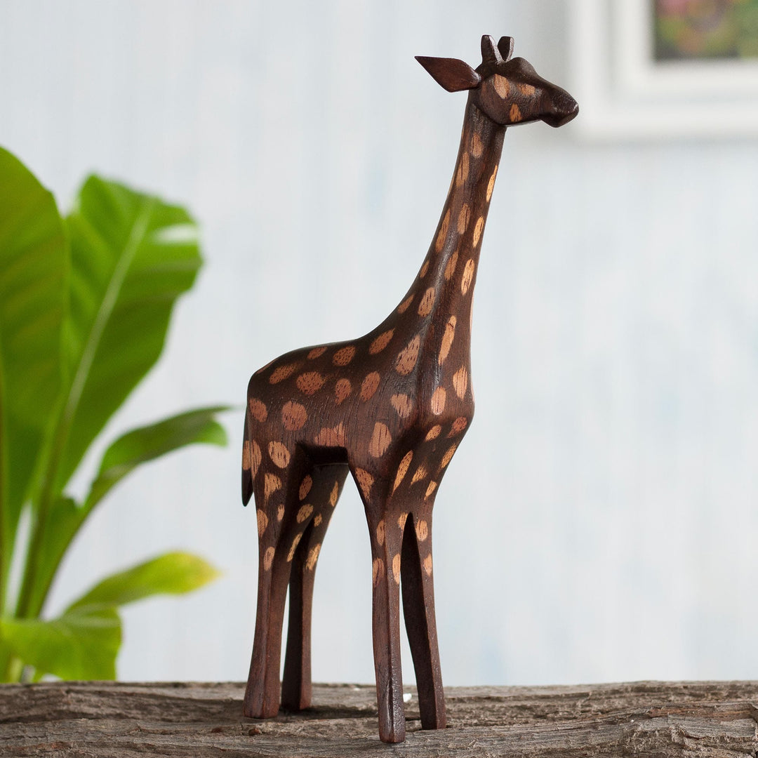 Charming Giraffe
