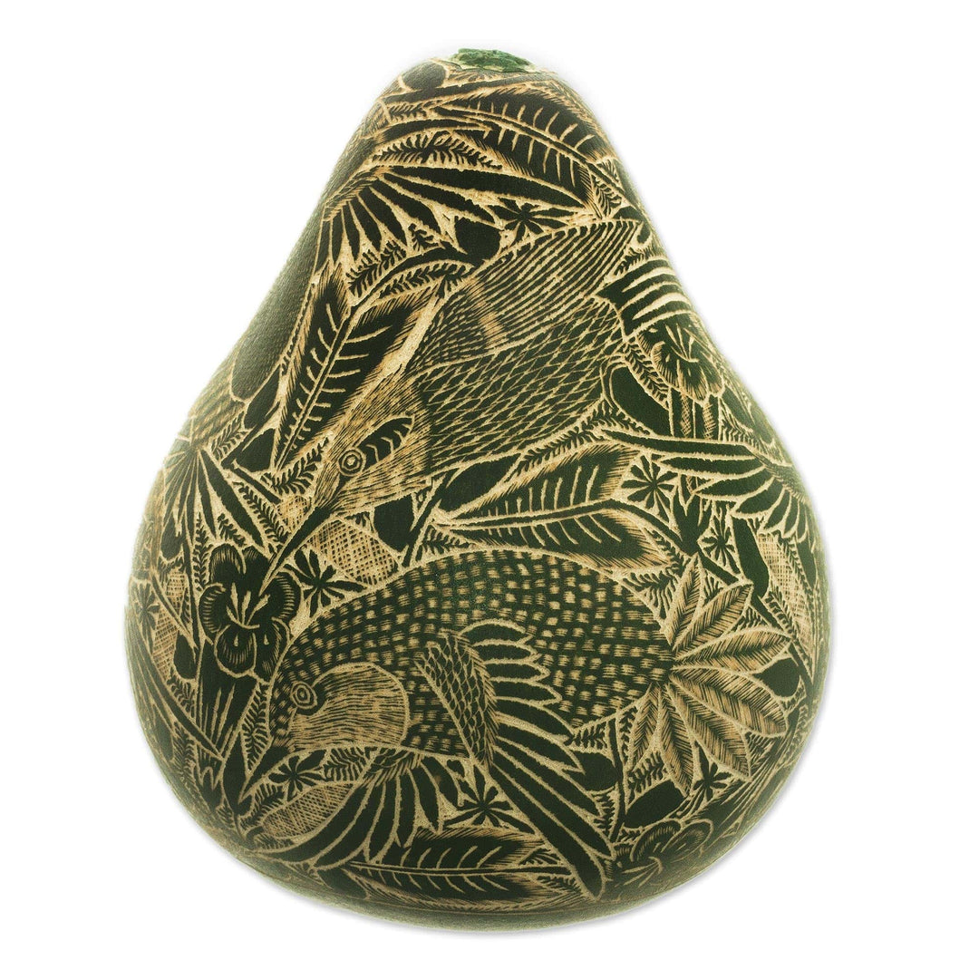 Peruvian Engraved Dried Gourd Green Hummingbird Figurine - Andean Hummingbird