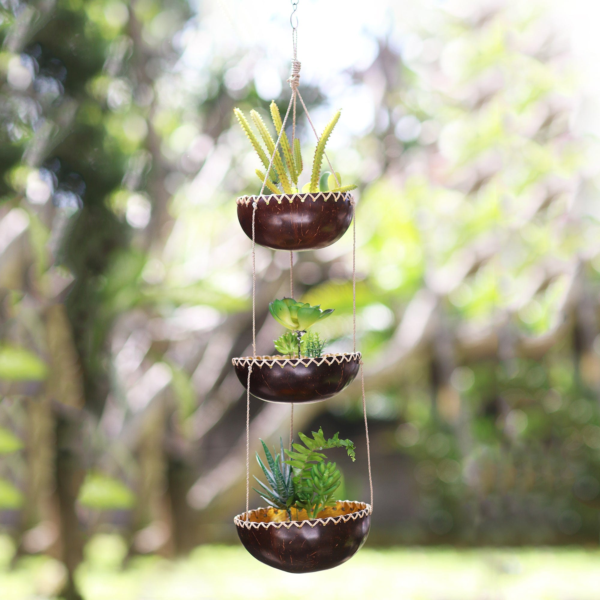 Coconut shell pattern order planters