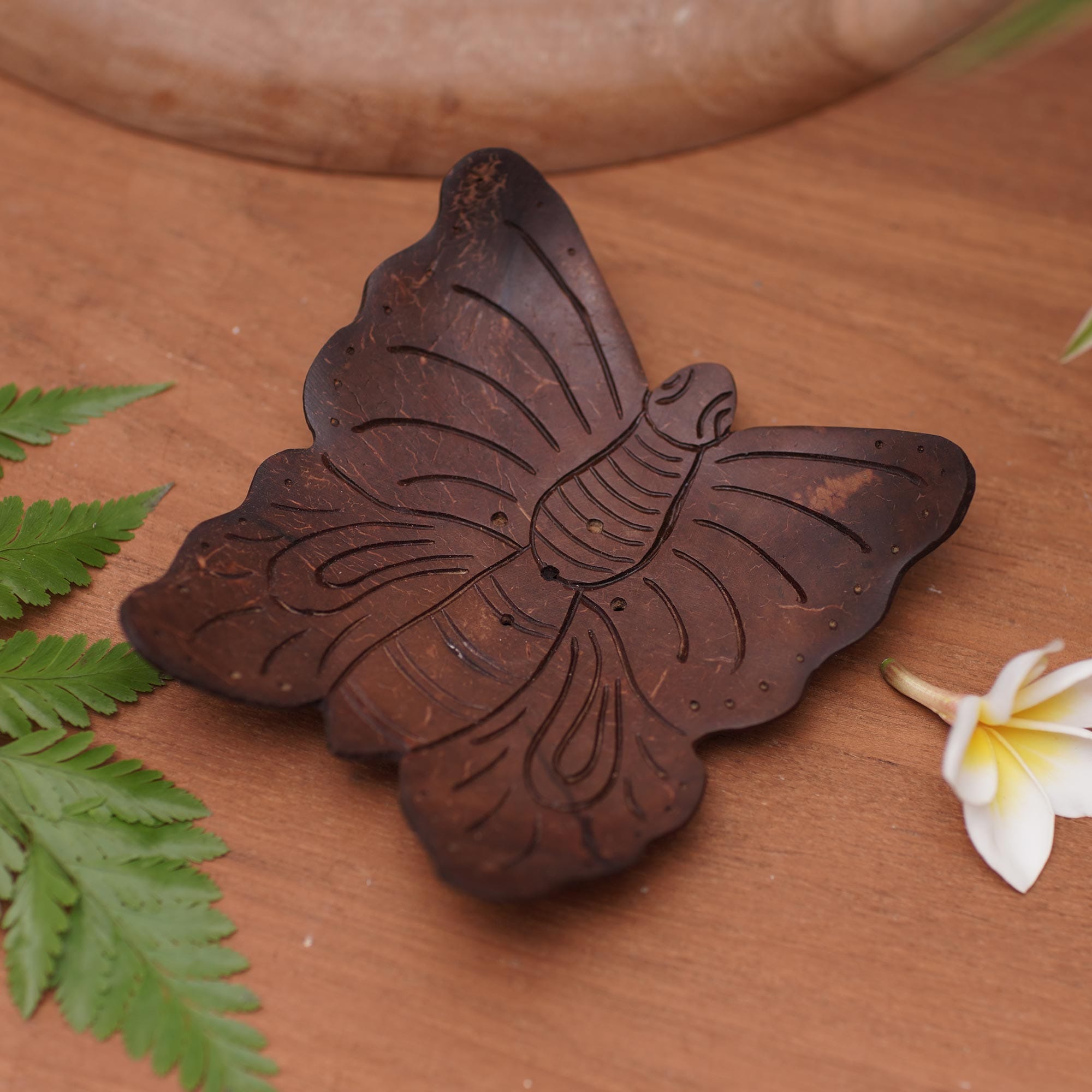 Balinese Handmade Water Draining Coconut Shell Soap Dish - Butterfly T –  GlobeIn