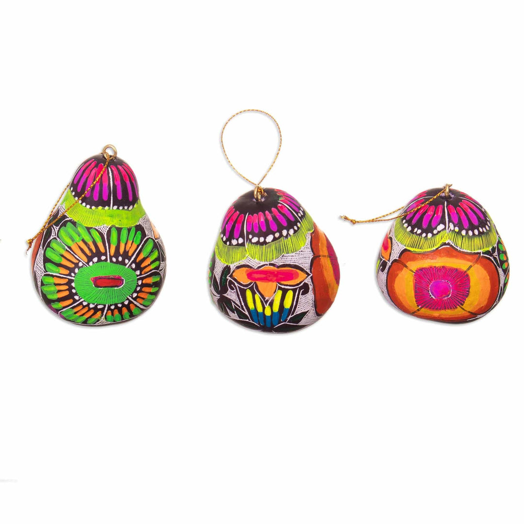 Handcrafted Andean Gourd Ornaments with Flowers (Set of 3) - Soul Flowers