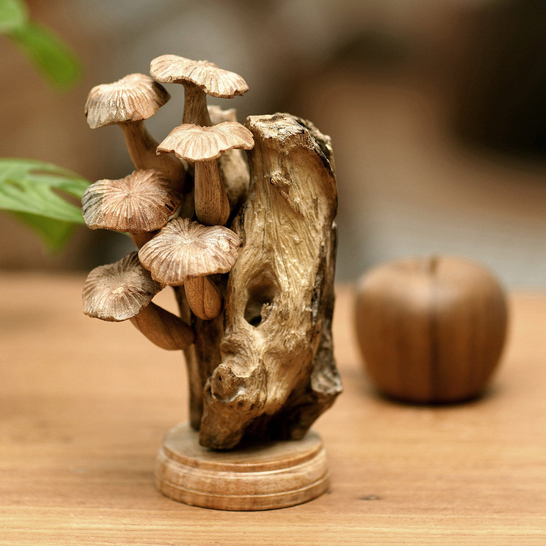 Mushroom Path