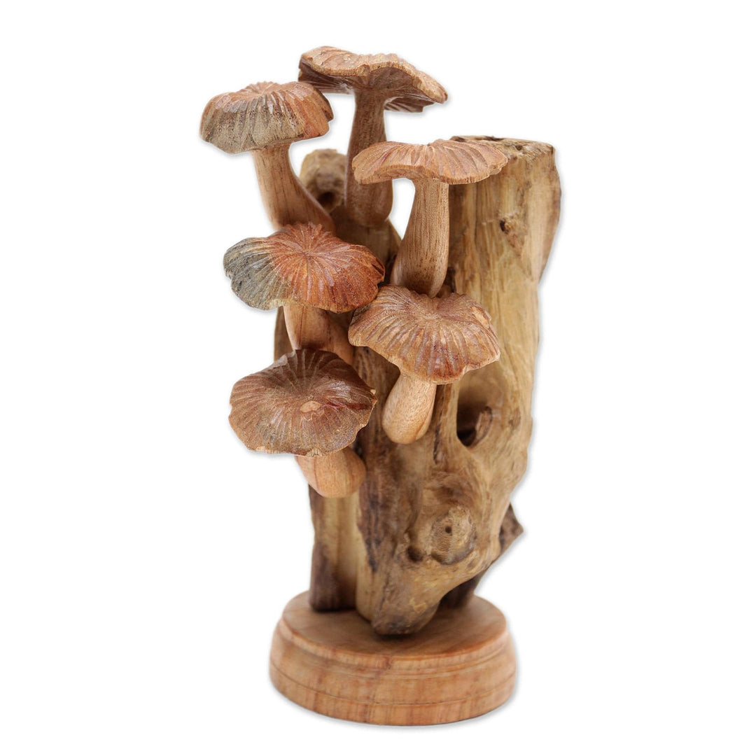 Handmade Jempinis Wood Sculpture with Benalu Wood Accents - Mushroom Path