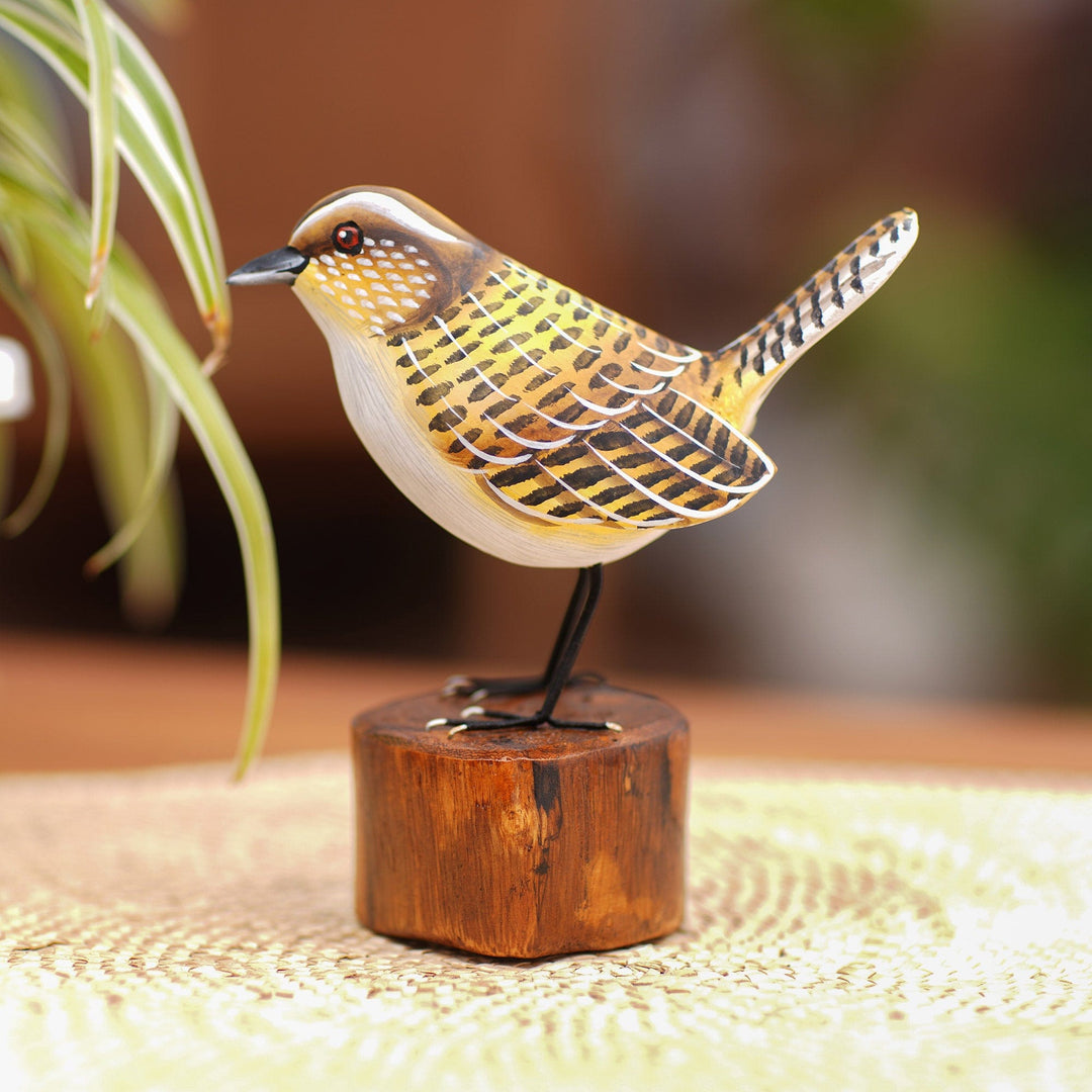 Singing Canary