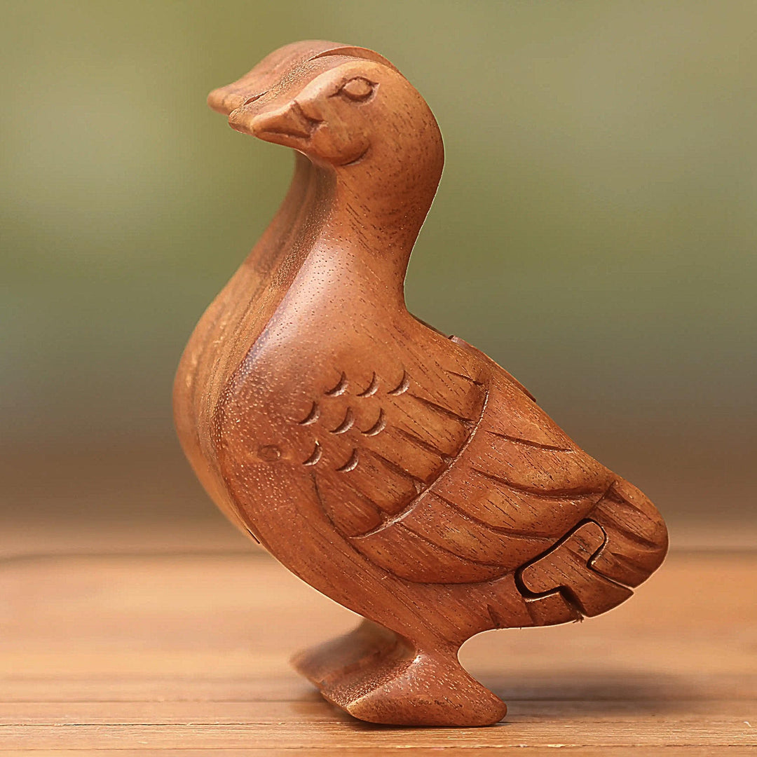Javanese Duck